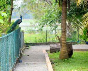 Giardino di Ciel Star Anuradhapura