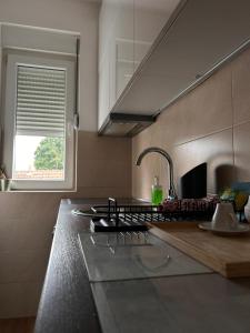 Η κουζίνα ή μικρή κουζίνα στο Flat Kosutnjak 9