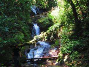 a man standing next to a waterfall in a forest at Chalé Refúgio Encantado 2 in Eldorado
