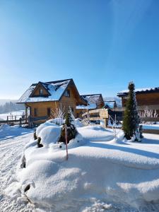 un cortile coperto da neve con una baita di tronchi di Leśna Przystań - Domki całoroczne a Grywałd