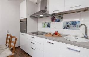 Kuchyň nebo kuchyňský kout v ubytování Gorgeous Apartment In Cres With Wifi