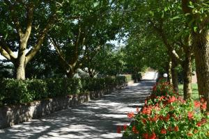 Zahrada ubytování Agriturismo Le Ginestre