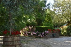 Zahrada ubytování Agriturismo Le Ginestre