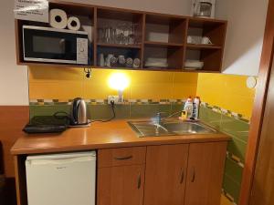 Kuhinja ili čajna kuhinja u objektu Willa Stenia Apartamenty