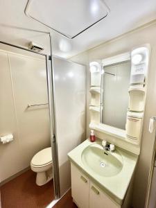 Bilik mandi di 戸狩野沢スノーパークプラザSnow Park Plaza
