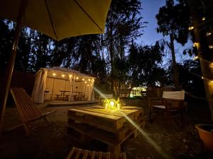 Fotografie z fotogalerie ubytování Glamping El Arbol - Naturaleza y Mar v destinaci La Serena