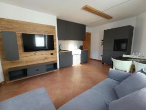 ein Wohnzimmer mit einer blauen Couch und einer Küche in der Unterkunft Villa Emma in Ponte di Legno