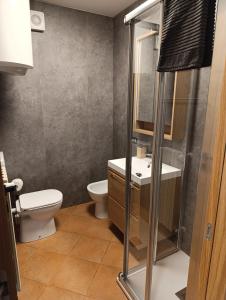 ein Badezimmer mit Toilette, Waschbecken und Dusche in der Unterkunft Villa Emma in Ponte di Legno