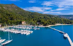 Φυσικό τοπίο κοντά σε αυτό το διαμέρισμα +19 φωτογραφίες
