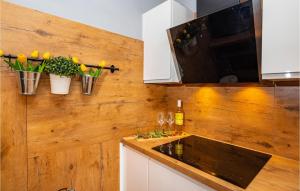 Kuchnia lub aneks kuchenny w obiekcie Three-Bedroom Holiday Home In Murvica