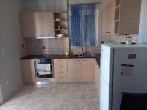 Kuchyň nebo kuchyňský kout v ubytování Adam s house