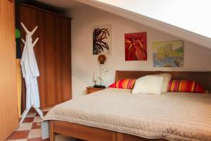 Gallery image of Villa Patricija in Zaton +7 photos