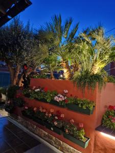 Zahrada ubytování El Jardin de Gala