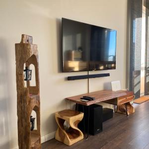 Μια τηλεόραση ή/και κέντρο ψυχαγωγίας στο Apartment Plöner See +14 φωτογραφίες