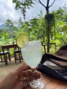 a person holding a glass with a lime in it at Casa Danam in Santa Marta +43 photos