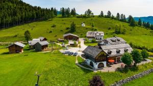 an aerial view of a house on a green hill at SCHENE Kammer in Abtenau
