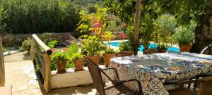 einen Tisch und Stühle mit Topfpflanzen und einen Pool in der Unterkunft Molino del Caracol in Benaoján