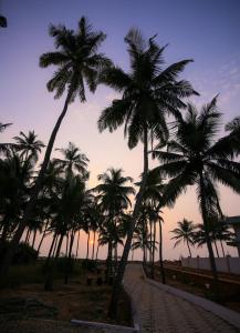 a row of palm trees on the beach at sunset at Blue Eye Coastal House, Beach House in Kaup