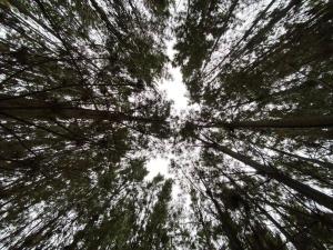 Afbeelding uit fotogalerij van Casa Bunker el tabo in El Tabo