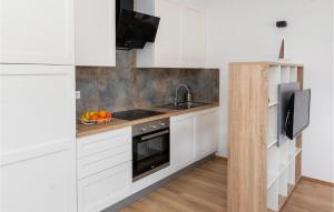 Η κουζίνα ή μικρή κουζίνα στο Cozy Apartment In Opuzen With Wifi