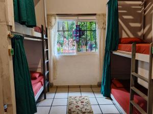 Rúm í herbergi á Ekko Hostel