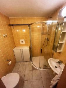 Ένα μπάνιο στο Spacious Apartment - Svoboda nad Úpou