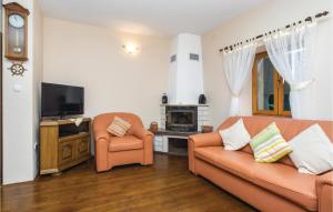 TV a/nebo společenská místnost v ubytování Holiday Home Hrvace With Fireplace Xiii