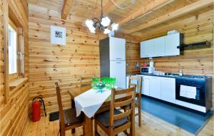 Kuchyňa alebo kuchynka v ubytovaní Beautiful Home In Radakovo With Sauna