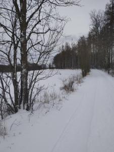 Zimmerův Statek durante l'inverno