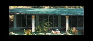 a large building with a green roof and columns at Golden Leaf Rainforest Eco Village in Nugadanda +17 photos