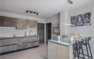 a kitchen with a counter with a painting of a tiger at 3 Bedroom Gorgeous Home In Klimno in Klimno