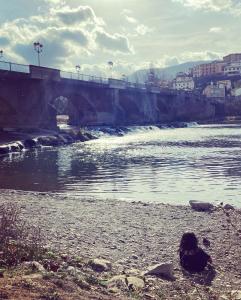 una persona sentada en la playa junto a un río en CasitaAzul double room, en Cáseda