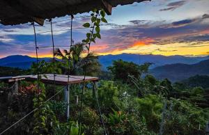 a view of the sunset from a tree house in the jungle at Salawin Fruit Jungle Farmstay in Ban Sob Moei