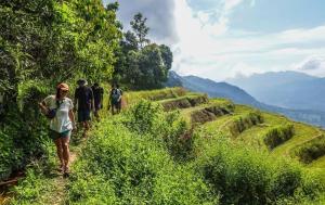 a group of people walking down a mountain trail at Salawin Fruit Jungle Farmstay in Ban Sob Moei +7 photos