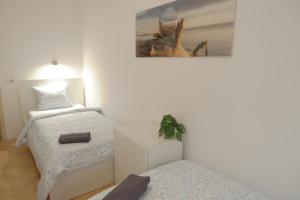 Fotografie z fotogalerie ubytování ROOMS Udolni Červený kostel v destinaci Brno