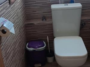 a bathroom with a toilet and a trash can at Casa Juanlu in Málaga