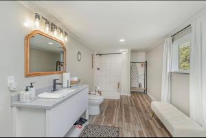 a bathroom with a sink and a toilet and a mirror at Adorable Clare Guest Suite! in Clare