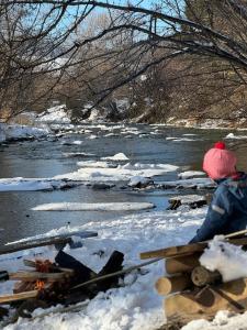 Příroda nedaleko prázdninového domu + 99 fotografií