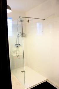 eine Dusche mit Glastür im Badezimmer in der Unterkunft Corse Maison de campagne mer et montagne in Sorbo-Ocagnano