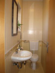 a bathroom with a sink and a toilet at Apartament VISOTA in Ptuj +7 photos