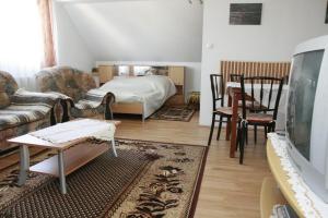 TV a/nebo společenská místnost v ubytování Apartment Kata