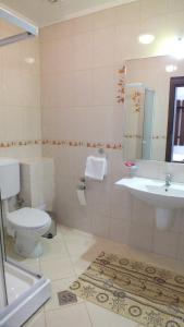 a bathroom with a toilet and a sink at Hanul Cocosul in Vităneşti +29 photos