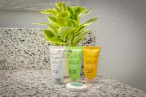 three tubes of sunscreen sitting on a counter with a plant at Oceanfront Work From Here Central Location! 1157 in Myrtle Beach