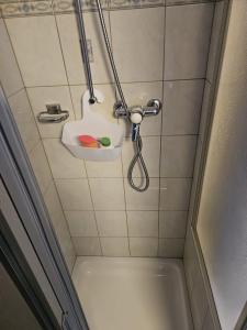 5 Zimmer-Wohnung mit Garage und Sauna的一间浴室
