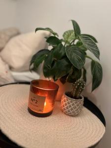 Fotografie z fotogalerie ubytování Koselig sentral leilighet v destinaci Stavanger