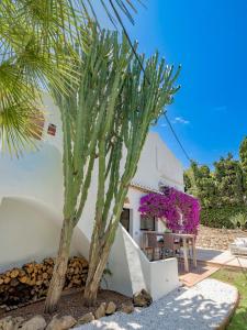 a palm tree next to a white house with purple flowers at Villa Tosalet Pomelo in Jávea