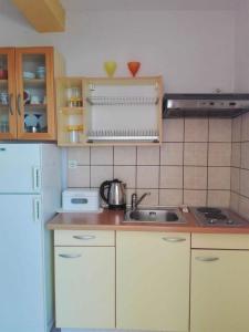 Kuchyňa alebo kuchynka v ubytovaní Apartments Soni