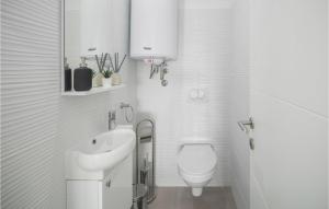 Kúpeľňa v ubytovaní 3 Bedroom Awesome Home In Novigrad