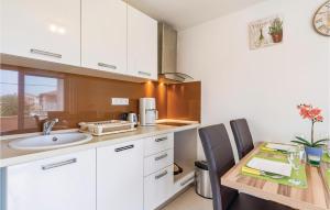 Kuchyň nebo kuchyňský kout v ubytování Holiday Home Valbandon I