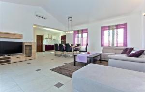 TV a/nebo společenská místnost v ubytování Pet Friendly Home In Sveti Kirin